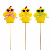 Kurczaczek w okularach na piku