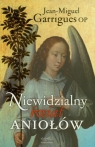 Niewidzialny świat aniołów  Garrigues Jean-Miguel