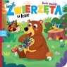 Zwierzęta w lesie. Duże puzzle Bogusław Michalec