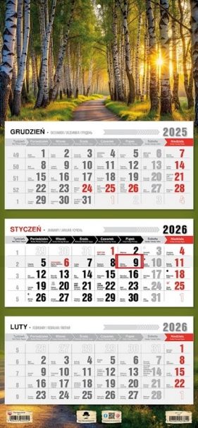 Kalendarz 2026 trójdzielny płaska główka - Las
