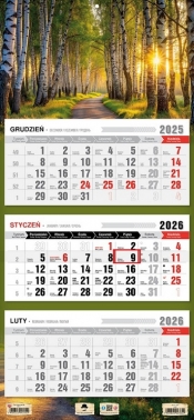 Kalendarz 2026 trójdzielny płaska główka - Las