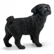 Mops suczka (16382)