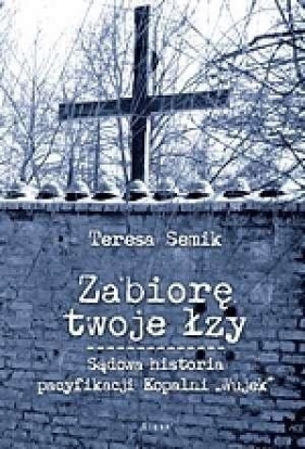 Zabiorę twoje łzy - Teresa Semik