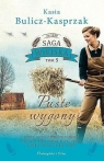 Puste wygony DL