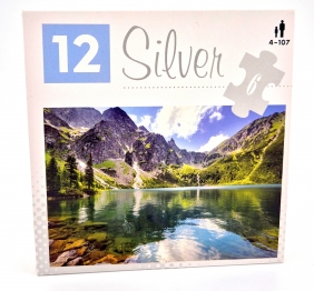 Silver - Puzzle 6: Morskie oko