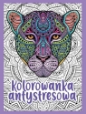 Kolorowanka antystresowa Opracowanie zbiorowe