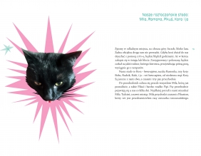 Kora i inne zwierzęta - Kamil Sipowicz