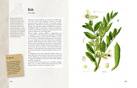 Ilustrowany zielnik Hildegardy z Bingen - Paul Ferris