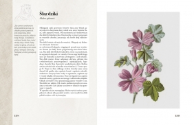 Ilustrowany zielnik Hildegardy z Bingen - Paul Ferris