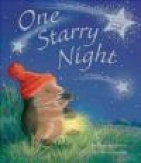 One Starry Night M. Christina Butler