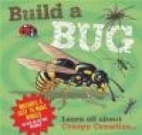 Build a Bug Claire Hawcock