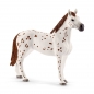 Schleich 42433, Zestaw treningowy koni appaloosa