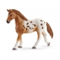 Schleich 42433, Zestaw treningowy koni appaloosa