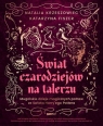 Świat czarodziejów na talerzu. Mugolskie dzieje magicznych potraw ze świata null null, null null