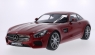 PREMIUM CLASSIXXS MercedesBenz AMG GT (40025)