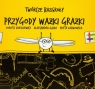 Twórcze bazgroły Przygody Ważki Grażki Dziedziewicz Dorota, Gajda Aleksandra, Karwowska Edyta