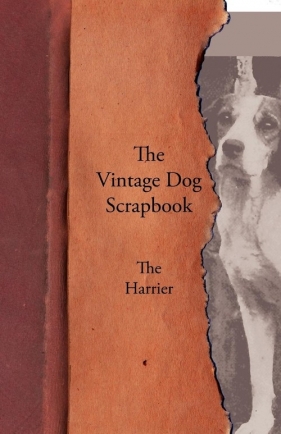 The Vintage Dog Scrapbook - The Harrier - Various