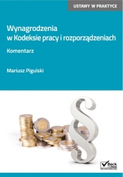 Wynagrodzenia w Kodeksie pracy i rozporządzeniach Komentarz