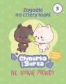 Zagadki na cztery łapki. Tom 3. Chmurka i Burza nie mówią prawdy