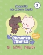 Zagadki na cztery łapki. Tom 3. Chmurka i Burza nie mówią prawdy - Adam Pliszka .