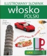 Ilustrowany słownik włoski-polski  Woźniak Tadeusz