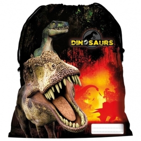 Worek na obuwie Dinozaur 12 (WODN12)