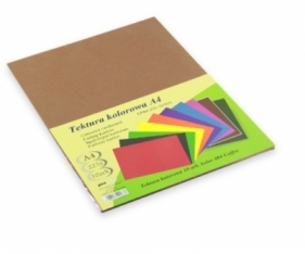 Tektura A4 brązowa (CPA4-225-10 404)