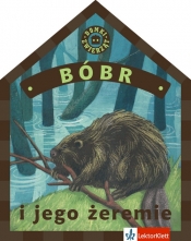 Bóbr i jego żeremie