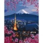 Malowanie po numerach BRUSHME 40x50 cm Podróż po Japonii
