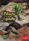 Płazy i gady