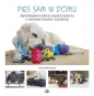 Pies sam w domu - Kate Mallatratt