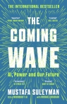The Coming Wave wer. angielska Michael Suleyman