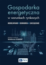 Gospodarka energetyczna w warunkach rynkowych Kamrat Waldemar