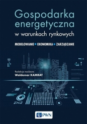 Gospodarka energetyczna w warunkach rynkowych - Kamrat Waldemar