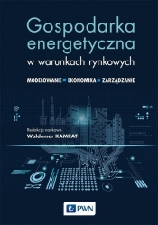 Gospodarka energetyczna w warunkach rynkowych - Waldemar Kamrat