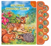 Odgłosy zwierząt. Czy znasz zwierzęta leśne? - Opracowanie zbiorowe