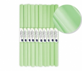 Bibuła marszczona nr 39 pistacjowy pastel (10szt)