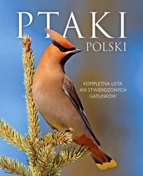 Ptaki Polski - Dominik Marchowski