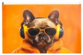 Koperta z nadrukiem Zip A4 PP - Cool Dog