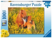 Ravensburger, Puzzle XXL 100: Kucyki (13283)