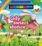Flamaster wodny. Gdy świeci słońce - Patrycja Wojtkowiak-Skóra