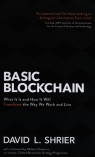 Basic Blockchain Shrier David L.