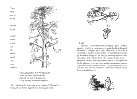 Kubuś Puchatek - A.A. Milne