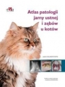 Atlas patologii jamy ustnej i zębów u kotów J.C. Soto