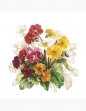 Serwetki DAISY Lunch SD 330x330 Kwiaty 009701