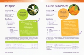 Olejki eteryczne. Podstawowa wiedza, mieszanki zapachowe i inne. Z wieloma przepisami dla całej rodziny do samodzielnego wykonania - Sabrina Herber