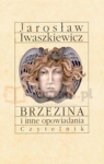 Brzezina i inne opowiadania Iwaszkiewicz Jarosław
