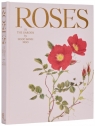 Roses In The Garden wer. angielska Ngoc Minh Ngo
