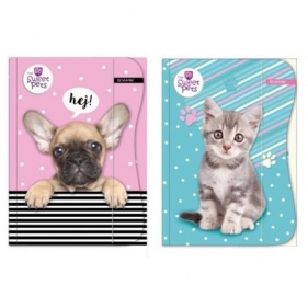 Teczka z gumką A4 The Sweet Pets Kids
