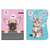 Teczka z gumką A4 The Sweet Pets Kids